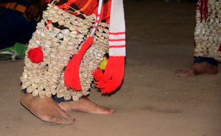 Danza tradicional corre peligro por disminución de capullos de mariposa