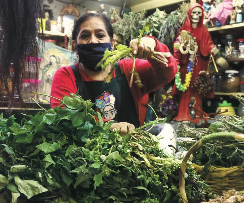 La señora Mireya, quien tiene más de 40 años vendiendo platas curativas, dijo que sí han acudido personas a buscar plantas para no contraer el Covid-19. FOTOS: CARLOS MEJÍA. EL UNIVERSAL
