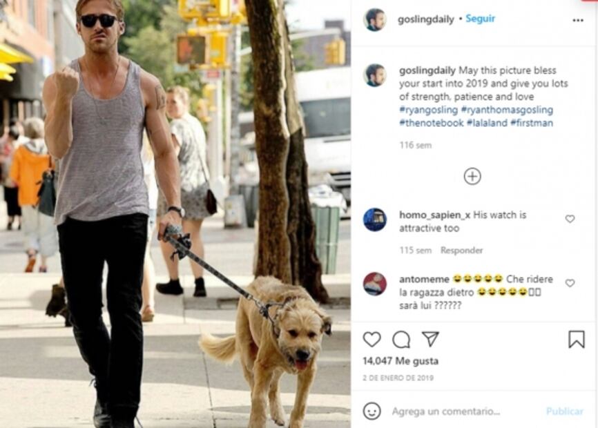 Amor y compromiso por los animales, estos famosos hacen todo por ellos