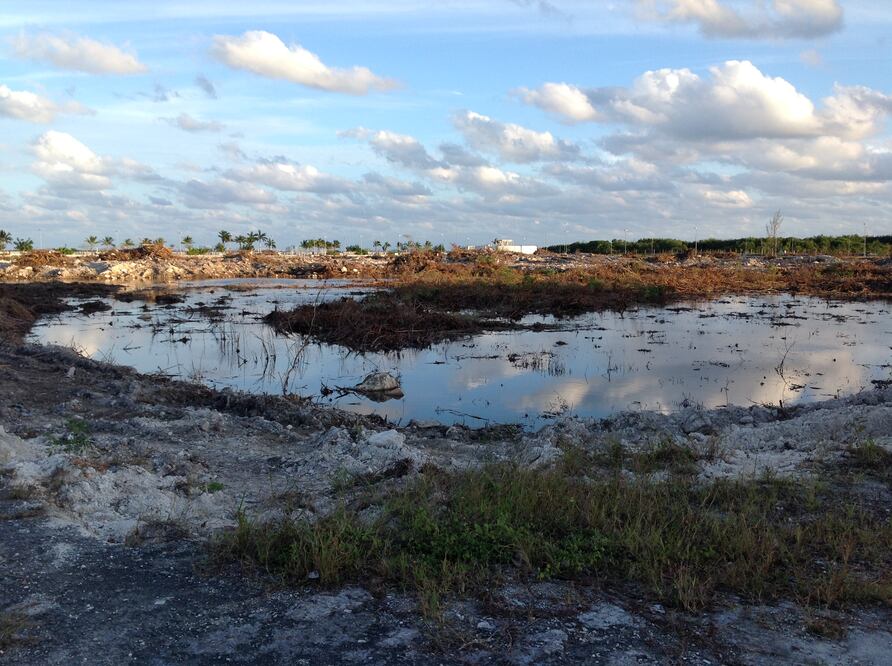 Los trabajos en Tajamar iniciaron en 2006. Se proyectaba que 74.24 hectáreas se destinaran para uso habitacional y comercial (ESPECIAL)