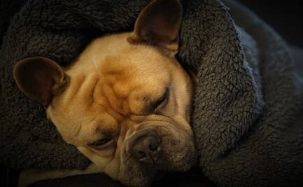 ¿A qué hora hará más frío hoy, 1 de diciembre de 2021?