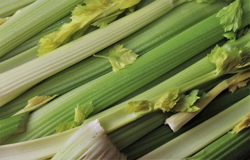 Comer apio ayuda a regular el apetito. Foto: Pixabay