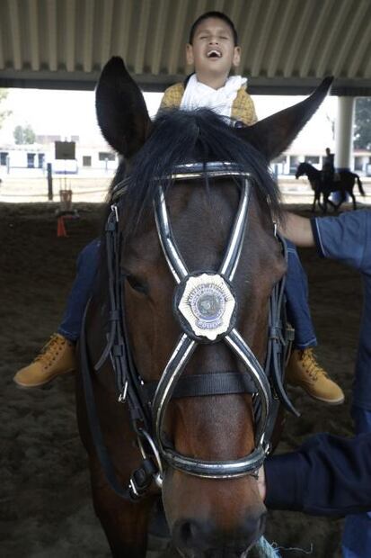 Caballos policías ayudan a niños con autismo