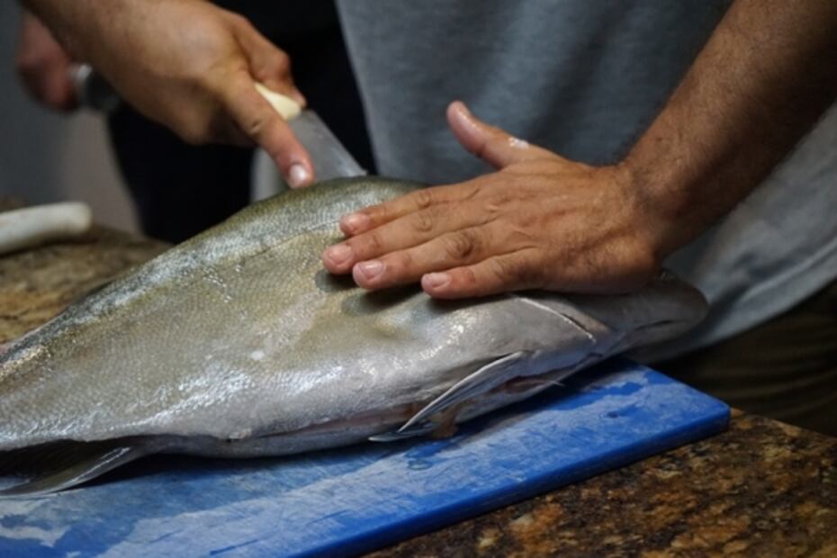 Conoce El Colectivo Maya, la nueva iniciativa de “Pesca con futuro”