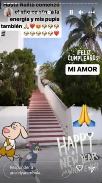 Aracely Arámbula: así celebró el cumpleaños de su hijo Miguel, lejos de Luis Miguel