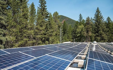 Trump califica de "estafa" los créditos fiscales verdes; el republicano dice que los odia y pide acabar con ellos