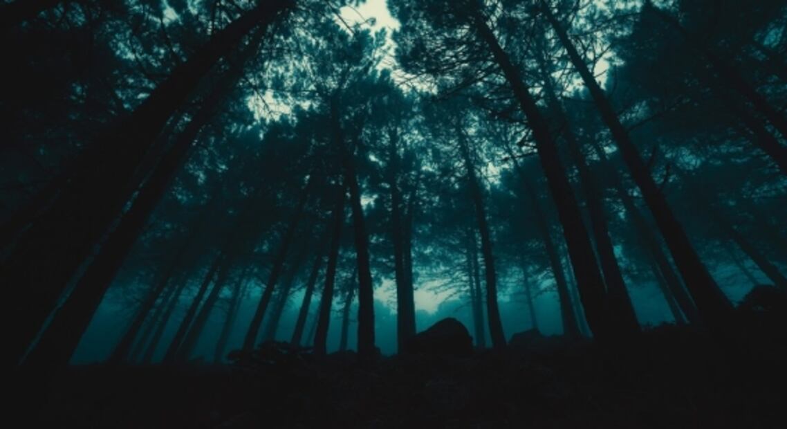 Peña de Lobos, el bosque embrujado a una hora de CDMX