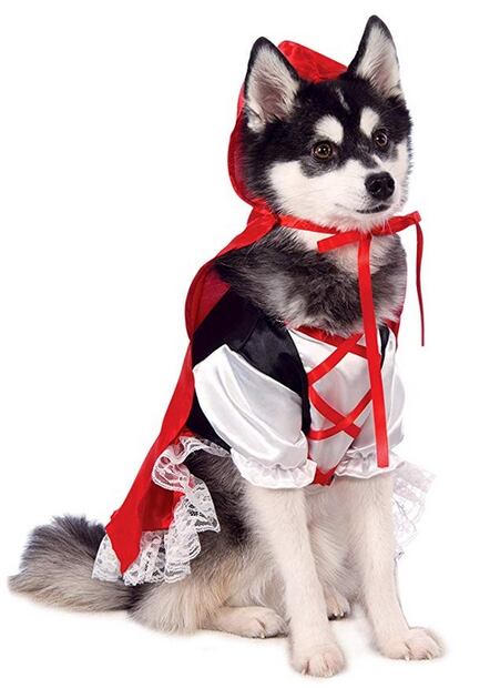 Estos son los mejores disfraces de Halloween 2019 para mascotas