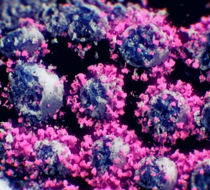 ¿Cómo se ve realmente el Covid-19? Logran la primera imagen 3D del virus SARS-CoV-2