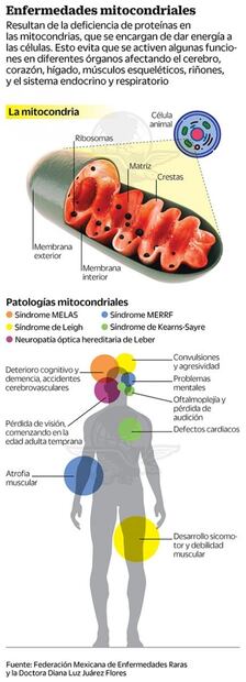 Vivir con síndrome de Leigh, la enfermedad del silencio