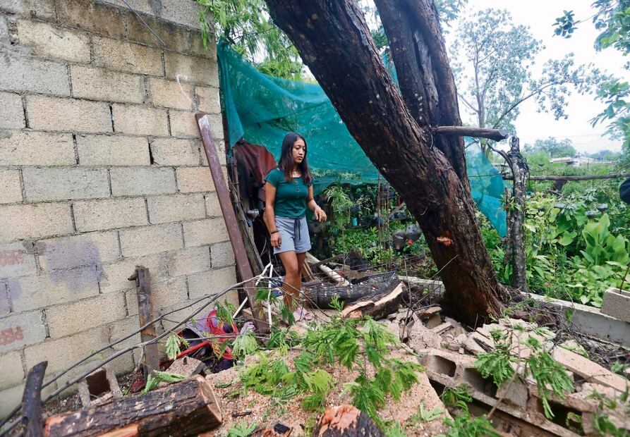 La familia Canulteh perdió su vivero con la primera ráfaga de viento, contó Melicia Foto: Valente Rosas EL UNIVERSAL