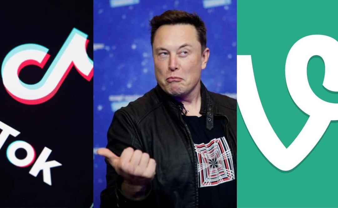¿Elon Musk quiere revivir Vine para competir con TikTok?