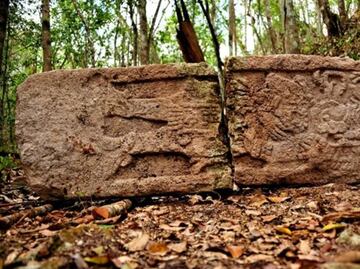 “Fossilized” Mayan landscape found in Campeche