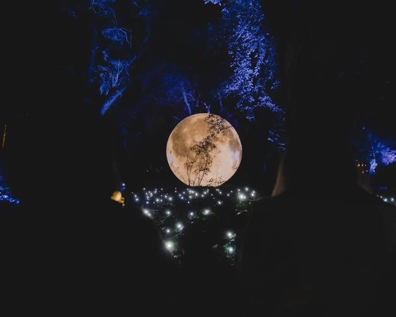 Foto: Facebook "Secret Garden Experience México"