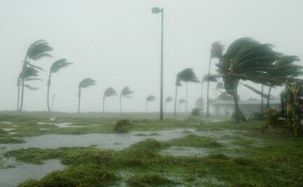 ¿Qué se debe hacer ante un huracán como Lidia categoría 4?