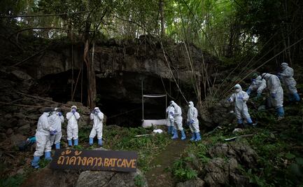 Alteración de la biodiversidad, responsable del Covid-19: UNAM