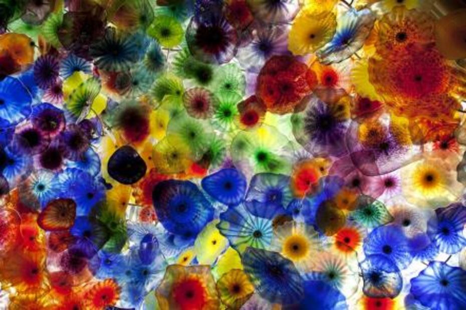 Chihuly renovará el New York Botanical Garden