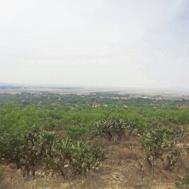 Vigilará ONG a ejidatarios amenazados de Tecámac