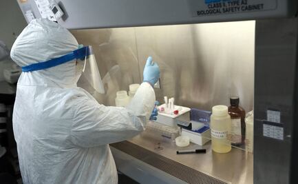 Científicos mexicanos descifran genoma de variantes del virus que genera Covid-19