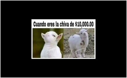 Entérate. ¿Qué es la "chiva" de los XV de Rubí?