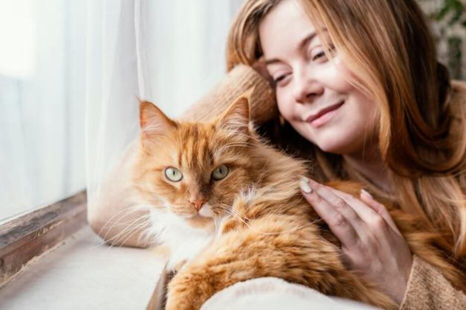 El significado de que un gato te lama las manos. Fuente: Freepik.