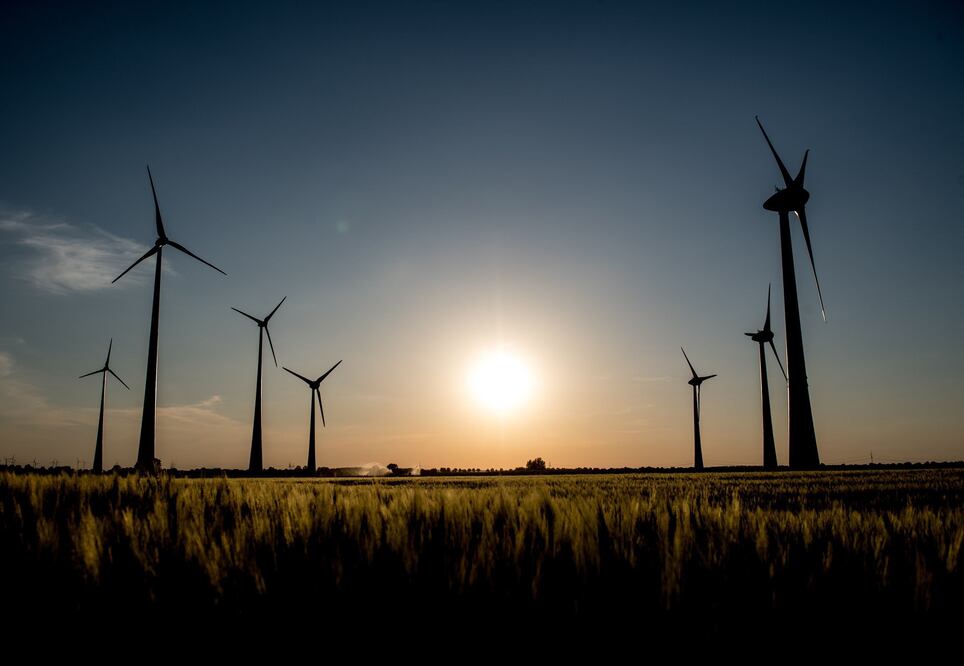 Foto: EFE / El CEL permanecerá sin cambios hasta la resolución definitiva de los juicios de amparo