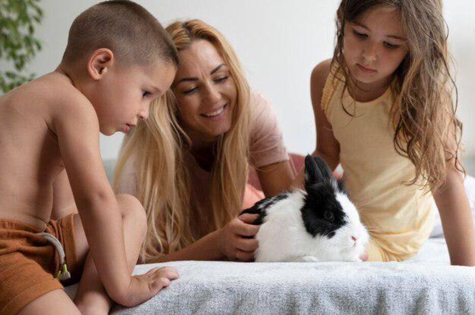Si estás pensando en adoptar un conejo o ya tienes uno en casa, dedícale tiempo y cariño para descubrir su personalidad. Fuente: Freepik.