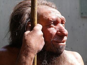 Las defensas genéticas contra los virus se heredaron del neandertal