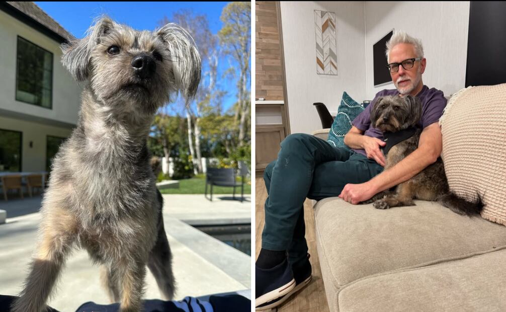 Krypto llega al cine con inspiración real: el perro de James Gunn dio vida al supercan del DCU
Foto: Captura de pantalla en Instagram