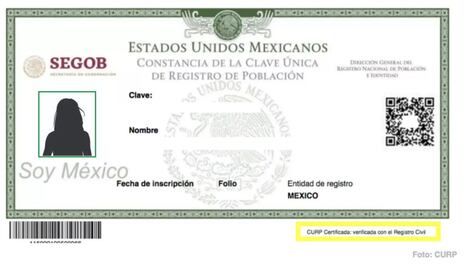 INE está abierto al diálogo sobre CURP con fotografía: Taddei 