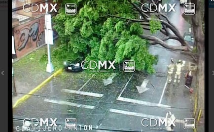Lluvia derriba cinco árboles y causa encharcamientos en CDMX