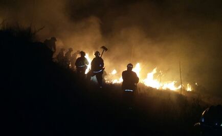 Consumen incendios 833 hectáreas en Guanajuato