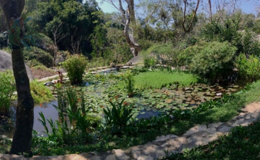 5 jardines botánicos en México para visitar esta primavera