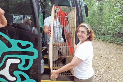 NAICM perjudicará a 200 mil aves