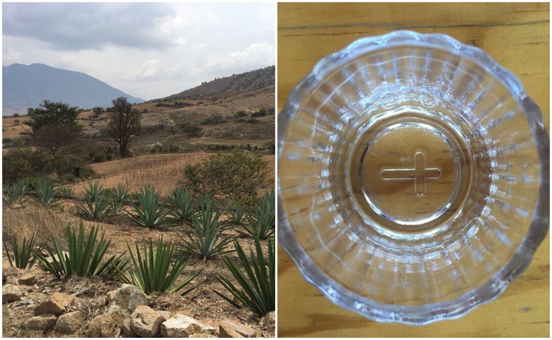 Fotos: Mariana Castillo