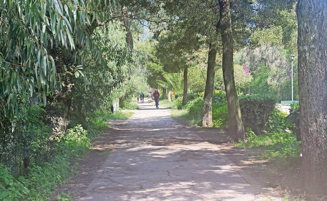 El plan de manejo para el parque Espejo de los Lirios incluye reglas para la comercialización de alimentos y bebidas así como eventos culturales. Foto: Arturo Contreras / EL UNIVERSAL
