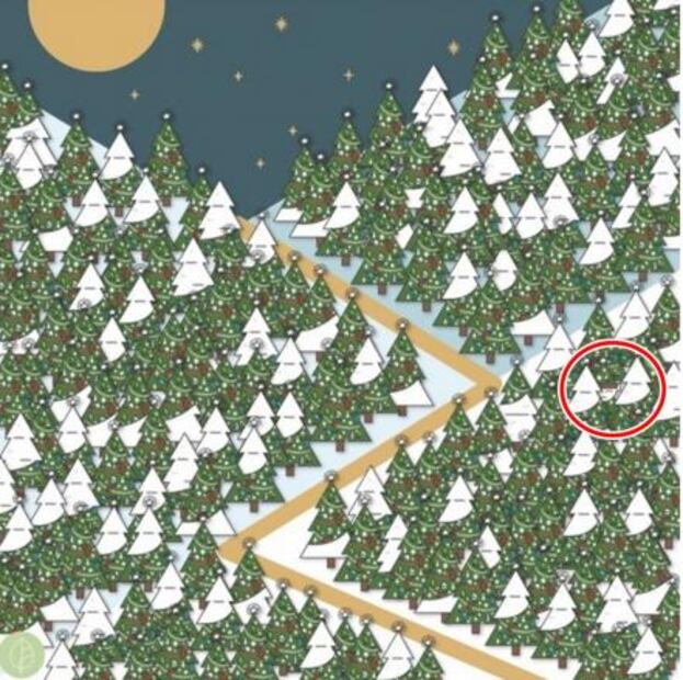 Imagen viral. Encuentra el elfo navideño