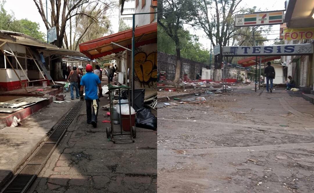 (Fotos: José David Martínez Cantera)