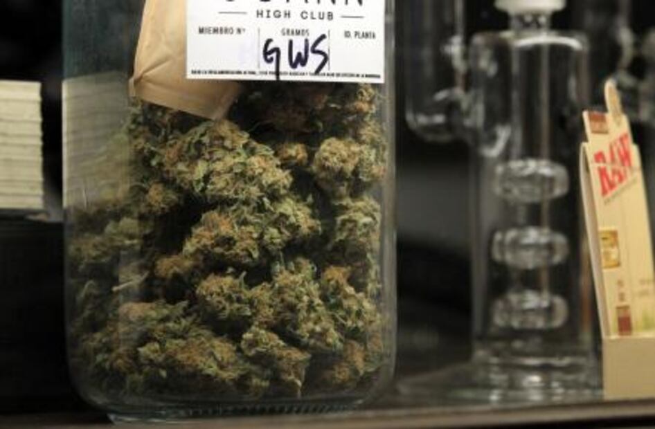Las claves de la venta legal de marihuana recreativa en Uruguay