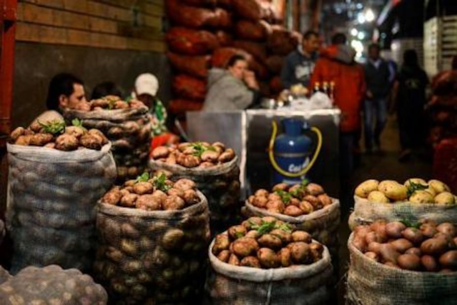 ¿Cuánta comida desperdiciamos los humanos?