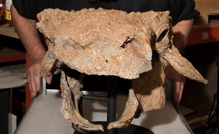 Nombran "Zuul" a dinosaurio en honor a los "Cazafantasmas"