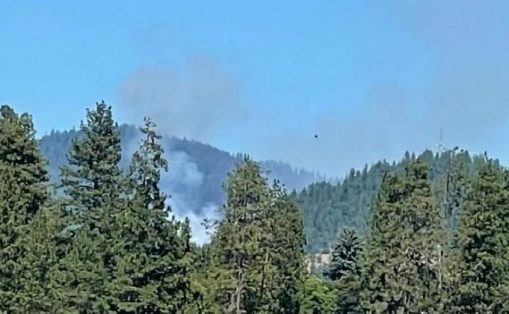 Un incendio arrasó por el momento más de 2.000 hectáreas de bosque en los alrededores de Narbona. Foto: Captura de pantalla