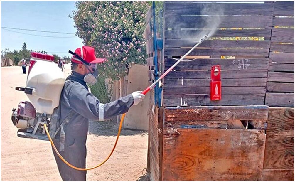 Fumigaciones por casos confirmados de picadura de garrapata en BCS (6/12/2024). Foto: Especial