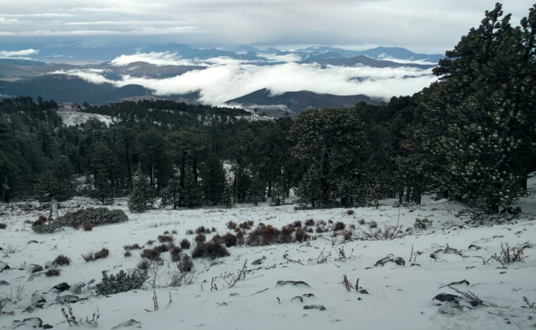 Los visitantes aprovecharon el día de asueto para recorrer las zonas montañosas. Foto: Especial 