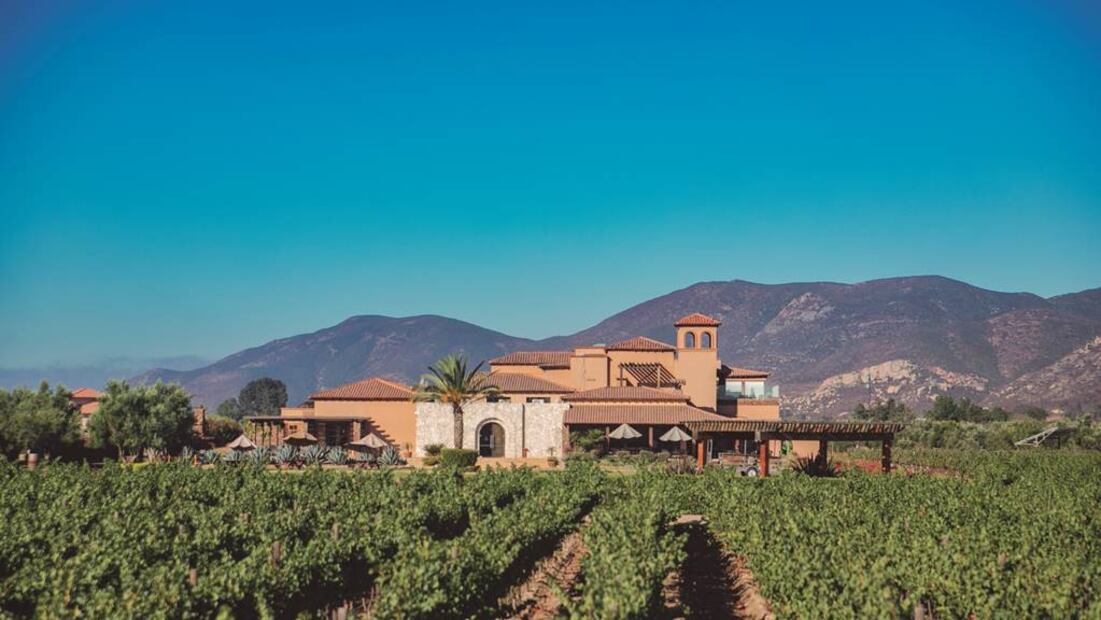 El acceso al aire limpio es indispensable para la salud de millones de personas en el mundo. Foto: Archivo EL UNIVERSAL