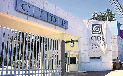 El CIDE prohíbe hacer leña del árbol caído