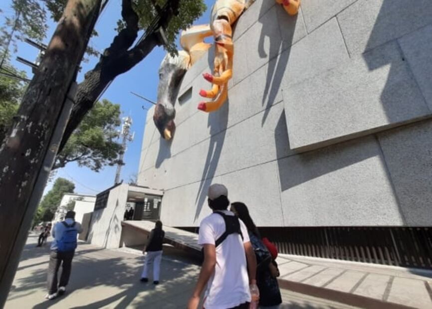 Ojos bien abiertos: El recordatorio del pollo en el techo del Carrillo Gil