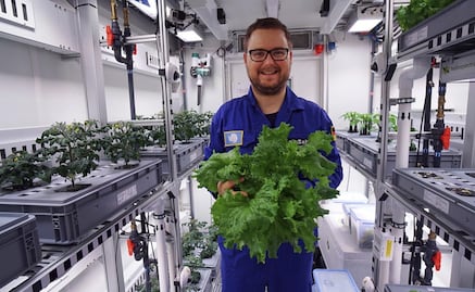 Científicos logran cosechar vegetales en la Antártida 