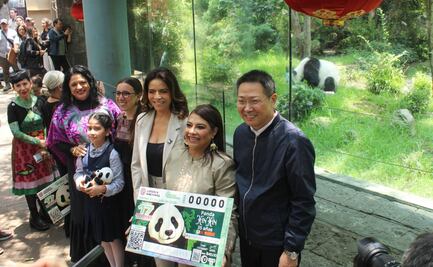 Lotería Nacional devela billete conmemorativo de Xin Xin, la panda de Chapultepec; buscan honrar su historia