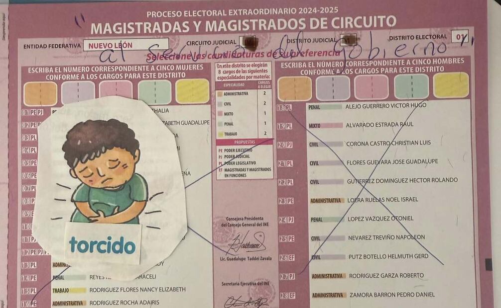 "Magistradas y magistrados de Circuito al Servicio del Gobierno". Foto: Especial